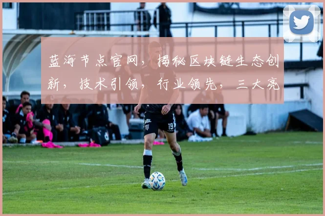 蓝海节点官网，揭秘区块链生态创新，技术引领，行业领先，三大亮点汇聚一处