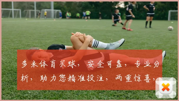 多米体育买球，安全可靠，专业分析，助力您精准投注，两重惊喜，不容错过