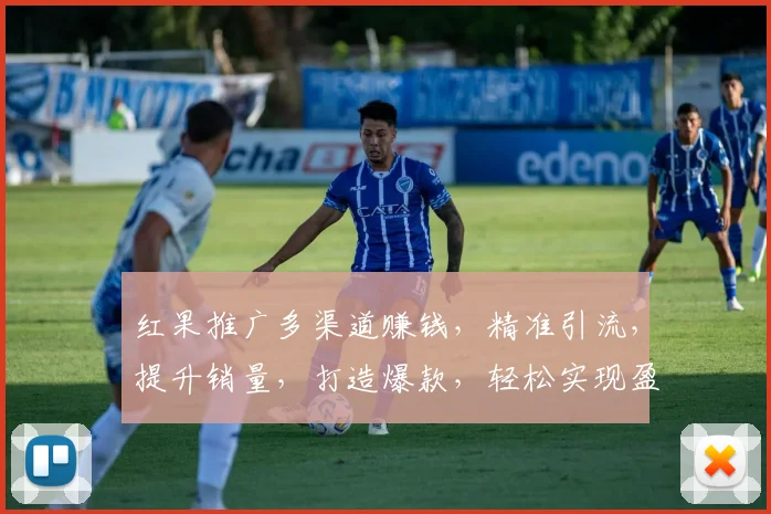红果推广多渠道赚钱，精准引流，提升销量，打造爆款，轻松实现盈利
