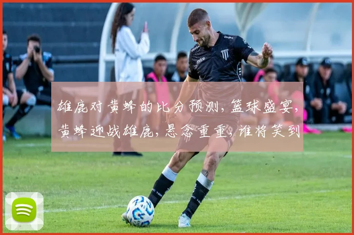 雄鹿对黄蜂的比分预测,篮球盛宴,黄蜂迎战雄鹿,悬念重重,谁将笑到最后